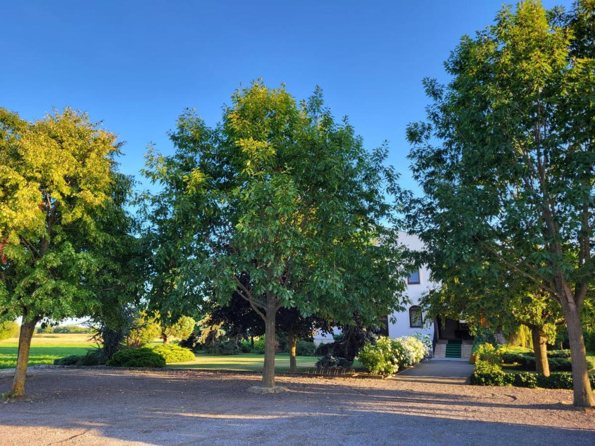 Ferienwohnung Sobe Pilajevo 2, 183 Ulica Stjepana Radica, Gola Exterior foto