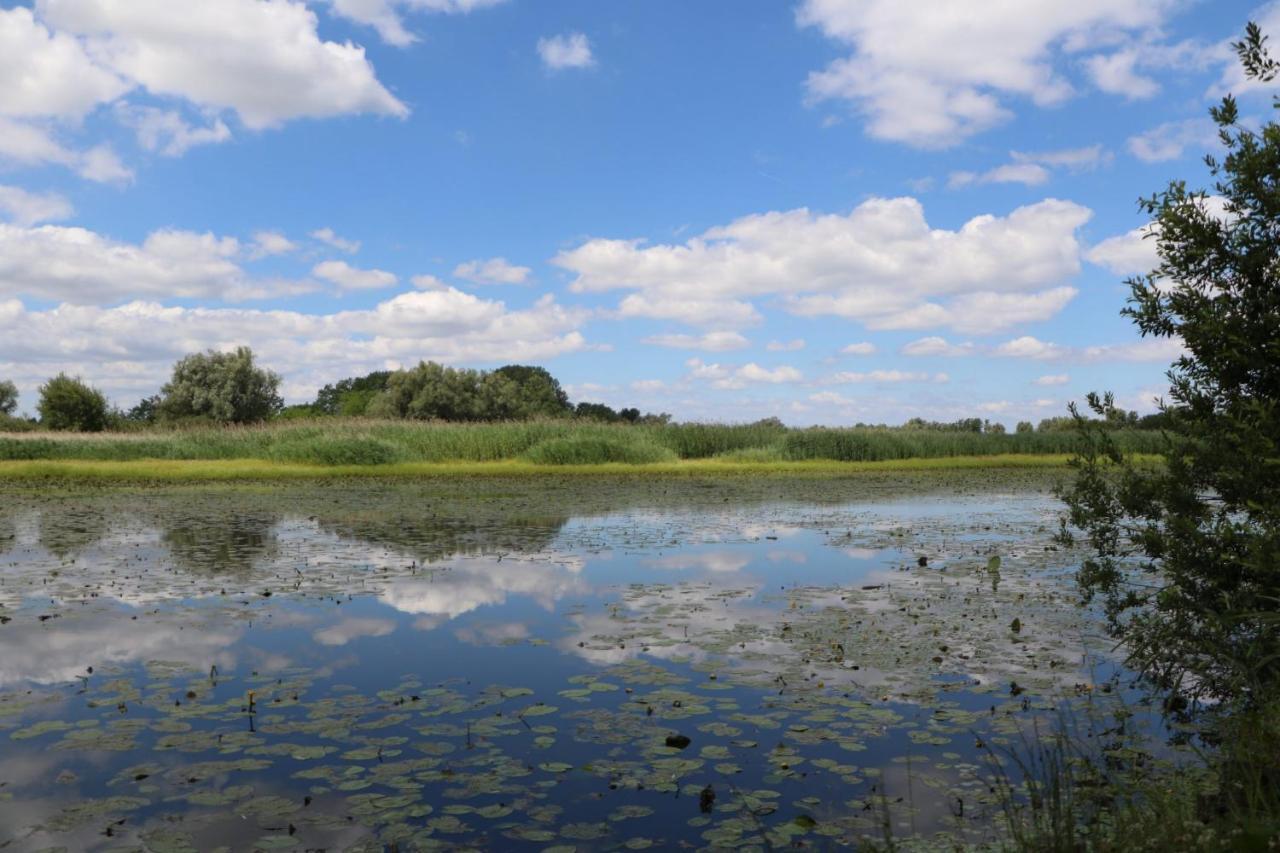 Ferienwohnung Sobe Pilajevo 2, 183 Ulica Stjepana Radica, Gola Exterior foto